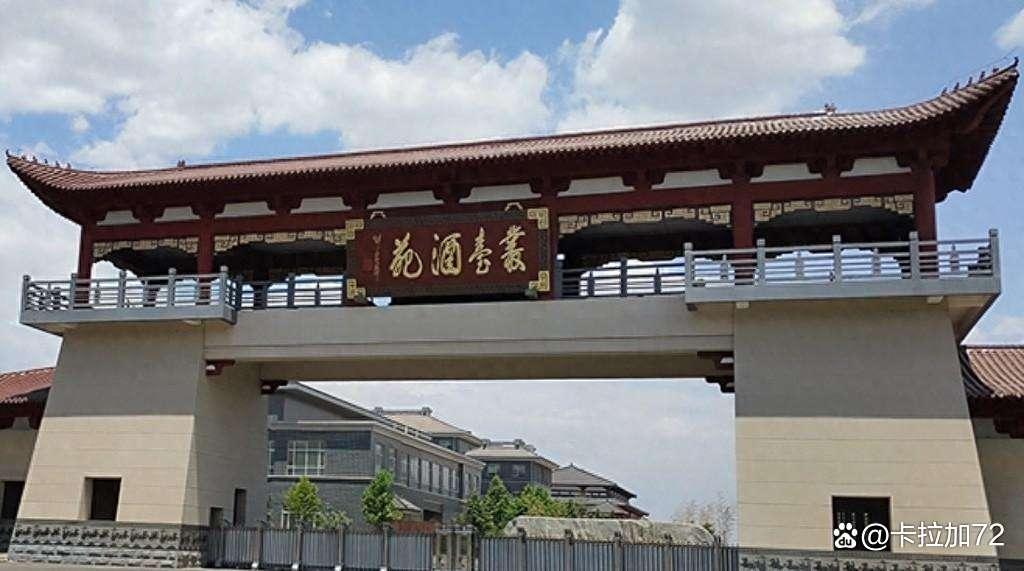 丛台酒业销售